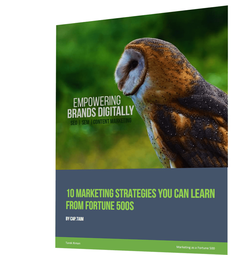 Ebook | 10 Marketing Strategies You Can Learn From Fortune 500s
